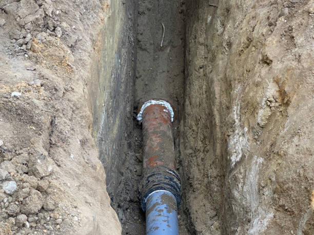 Best Flood restoration services  in Pharr, TX
