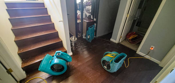 Best Sewage cleanup and water damage restoration  in Pharr, TX