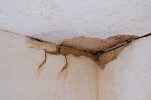 Best Water damage restoration near me  in Pharr, TX