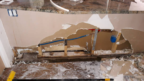 Best Residential water damage restoration  in Pharr, TX