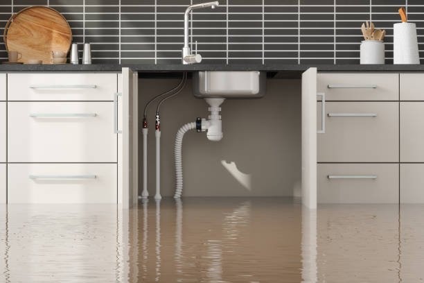 Best Carpet water damage restoration  in Pharr, TX