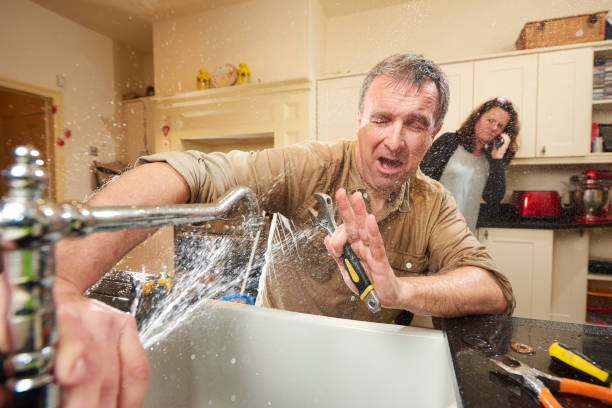 Best Basement water damage restoration  in Pharr, TX